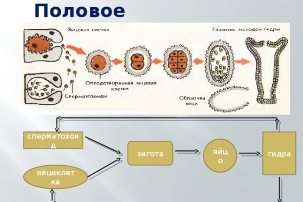 Kraken вход и ссылки