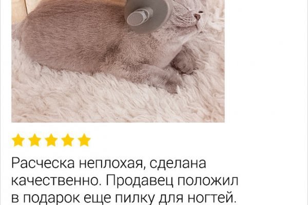 Кракен даркнет только через стор