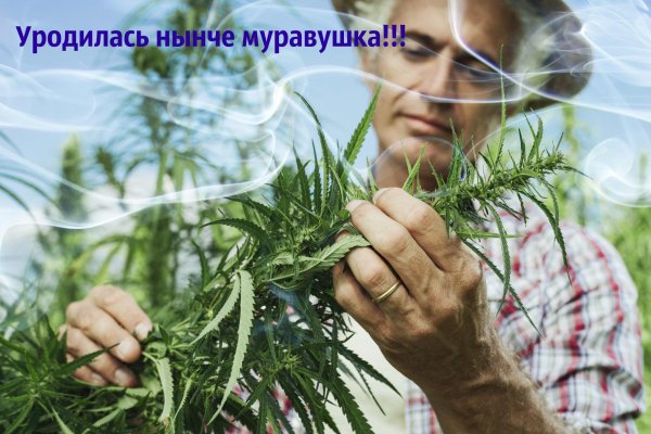 Кракен маркетплейс ссылка
