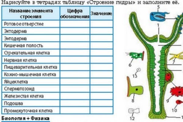 Не работает сайт kraken