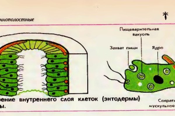 Кракен ссылка настоящая