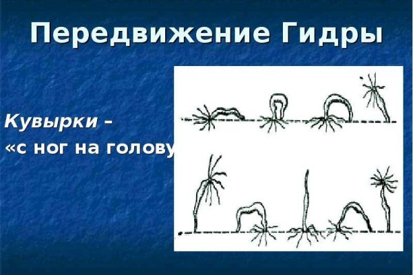 Кракен рабочее на сегодня сайт