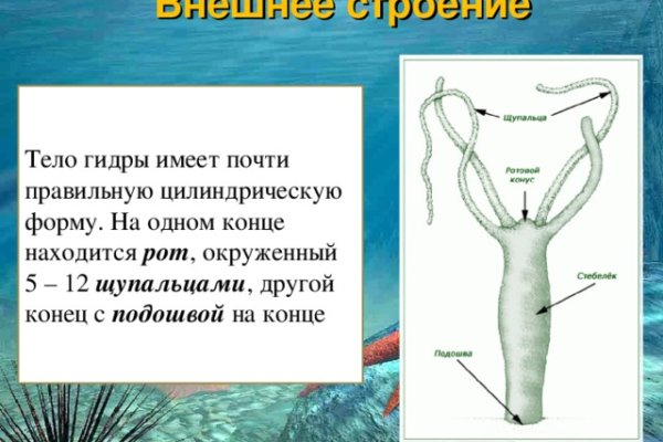 Кракен маркетплейс откуда взялся