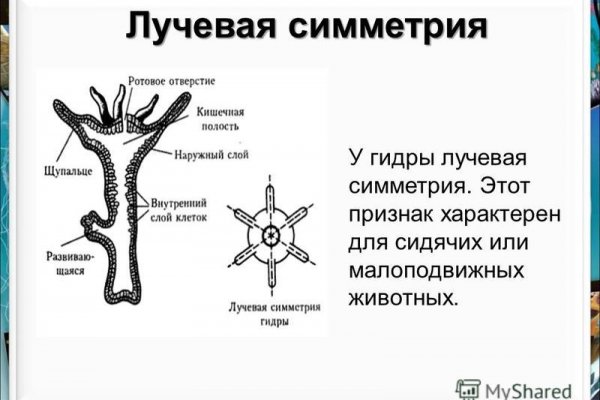Кракен что это за маркетплейс